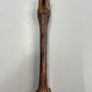 Anco Naturals Red Deer Leg - each